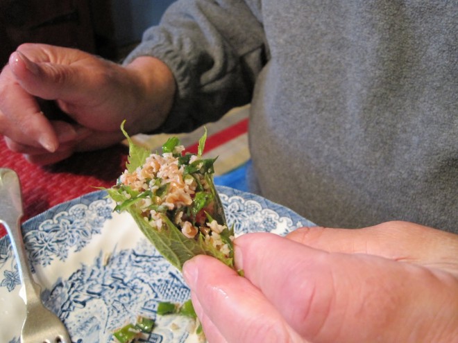 Em primeiro plano vê-se uma mão masculina segurando a salada árabe tabule,( tomate, salsinha e cebola picados bem miúdos com trigo) envolta em folha de uva.