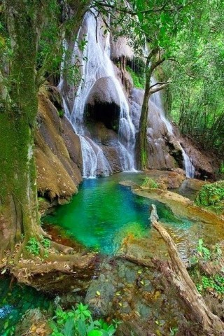 Foto de uma cachoeira junto ao Rio Bonito em Mato Grosso, , águas límpidas, esverdeadas, com mata natural densa e pedra.