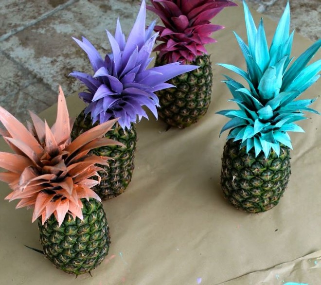 abacaxi+colorido_claudiamatarazzo