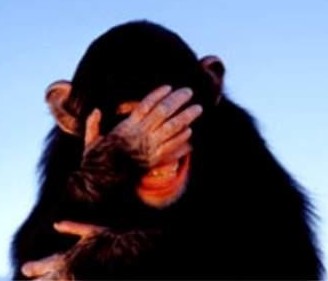 Imagem da cabeça de um filhote de um chimpanzé , com as mãos no olhos,
