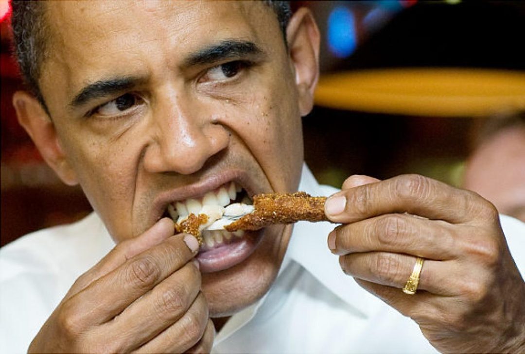 Barack Obama, segura com as mãos, um pedaço de frango empanado entre os dentes e morde firme .